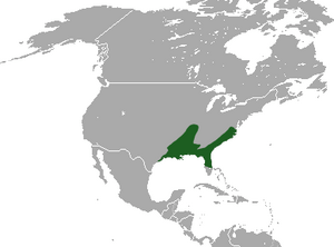 Southern Short-tailed Shrew area.png