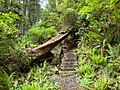 Staircase North Coast Trail