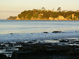 Stanmore Bay headland