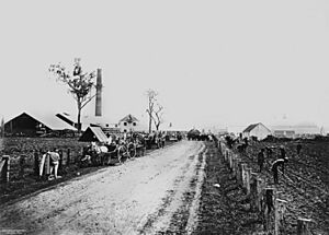 StateLibQld 1 170743 Road through Te Kowai Sugar Mill, Mackay, Queensland, ca. 1880