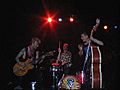 Stray cats - live in gijon 2