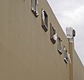 Sulphur-crested Cockatoos damaging a shopping centre facade 4