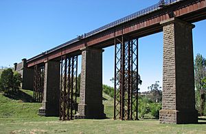 Taradale Viaduct.jpg