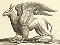 Wenceslas Hollar - A griffin (cleaned background)