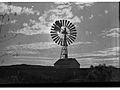 Windmill at Beltana South Australia(GN05787)