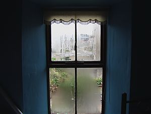 Window in Ireland