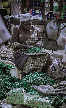 Woman chopping ugwu