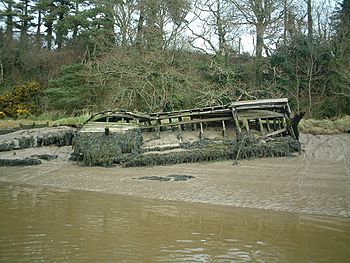 Wooden wreck, King's Channel, Waterford - geograph.org.uk - 539659.jpg