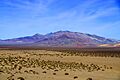 Yucca Range (19951050626)