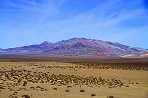 Yucca Range (19951050626)