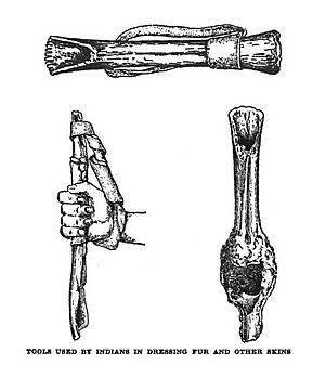 19th century knowledge indian lore tools for dressing furs and skins