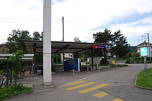 2012-05-26-Seeland (Foto Dietrich Michael Weidmann) 084