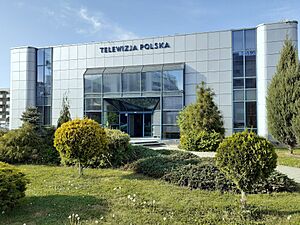 6 Kopisto Street in Rzeszów (2022)