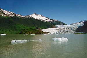 A041, Juneau, Alaska, USA, Mendenhall Glacier, 2002