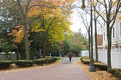 Alewife Linear Park in autumn