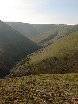 Ashes Hollow on the Long Mynd in Shropshire