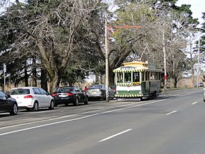 Ballarat tram 33