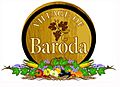 Baroda Seal