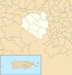 Barrios of Aibonito, Puerto Rico locator map