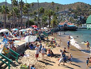 Beach Avalon Catalina California 2003-22-19