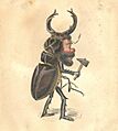 Beetle Costume Comus Parade 1873