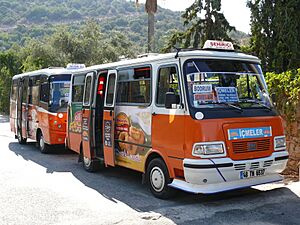 Bodrum dolmus terminus