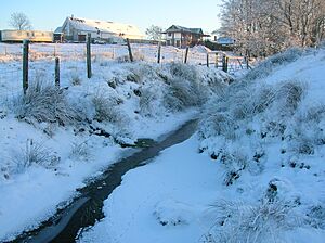 Boghall Burn and old loch dam