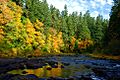 Cascadia State Park (Linn County, Oregon scenic images) (linnDA0065)