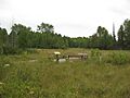 Cedar Bog Ohio Trail