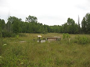 Cedar Bog Ohio Trail