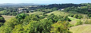 View from Llanos Tuna