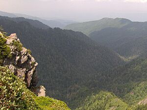 Charlies-bunion-porters-creek