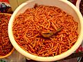 Chinicuiles 005