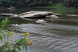 Clarion River Rock