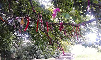 A close-up image of tree branches on which have been affixed a wide range of small, brightly coloured pieces of cloth