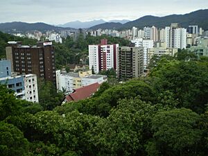 Downtown Joinville