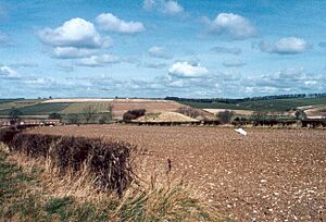 Duggleby Howe - geograph.org.uk - 1100
