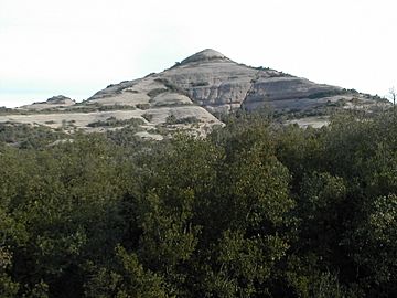 El Montcau.jpg