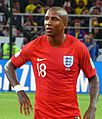 FWC 2018 - Round of 16 - COL v ENG - A Young