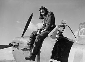 Flying Officer Leonard 'Ace' Haines of No. 19 Squadron on his Supermarine Spitfire Mk I at Fowlmere near Duxford, September 1940. CH1373.jpg