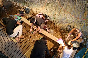 Fouille Noisetier 2009