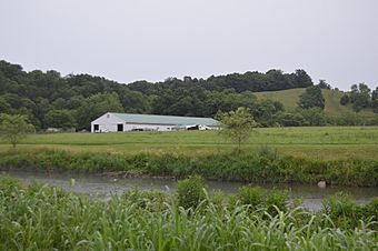 Fox Farm Site near 7MF.jpg