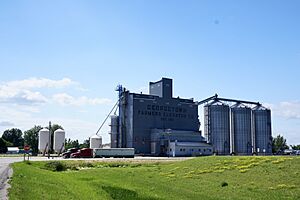 GEORGETOWN FARMERS ELEVATOR CO. Est 1911
