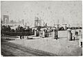 Garden Palace Fire 1882 SLNSW FL9581474