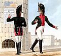 Grande Armée - 10th Regiment of Dragoons