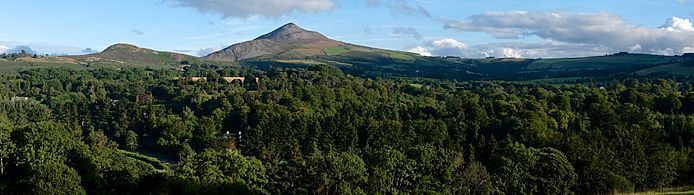 Great Sugar Loaf (from the Powerscourt Estate)