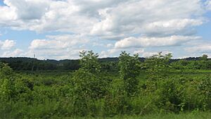 Green Bottom WMA looking toward Clover Site