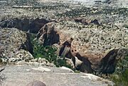 Highway 12 2005
