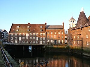 House Mill 2009a