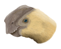 Huanansaurus.png